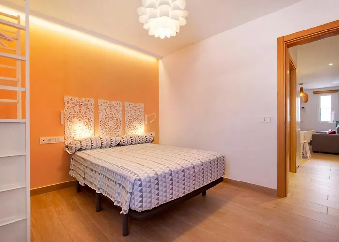 Falco 3 科拉雷侯